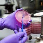 petri-dish
